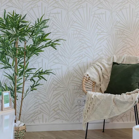 Nono Lägenhet Ribeira Grande