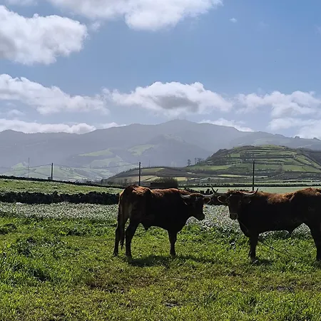 Lägenhet Nono Ribeira Grande