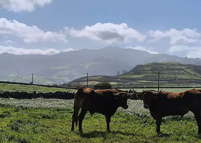 شقة Nono هيبيرا غْريندي